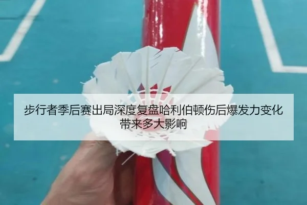 步行者季后赛出局深度复盘哈利伯顿伤后爆发力变化带来多大影响